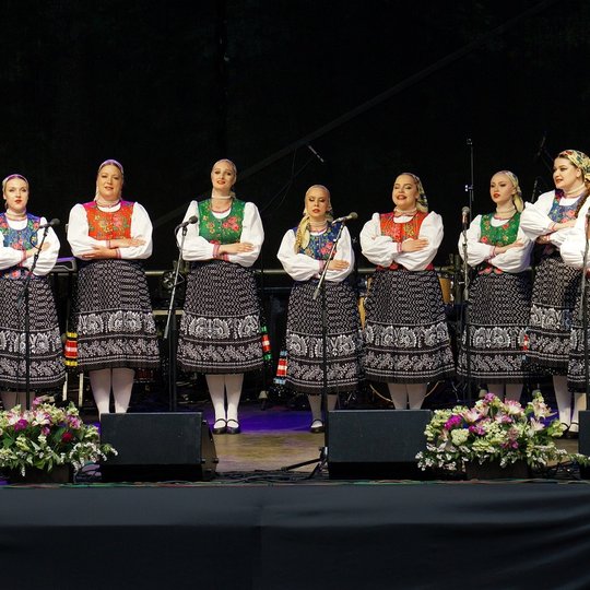 Tarptautinis liaudiškos muzikos ir šokių festivalis "Ežerų sietuva". Švenčionių rajono savivaldybė