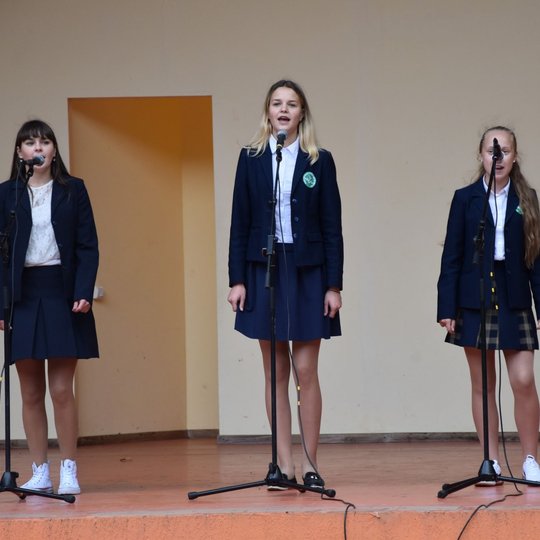 Iliustracija
