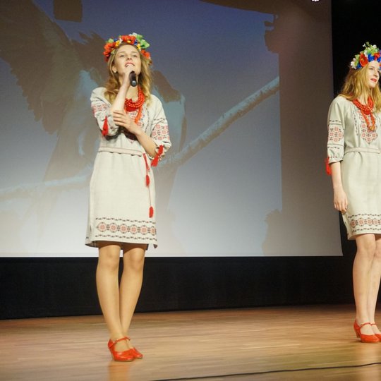 Iliustracija