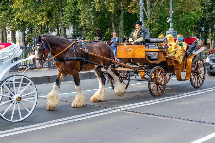 DSC_5705.jpg