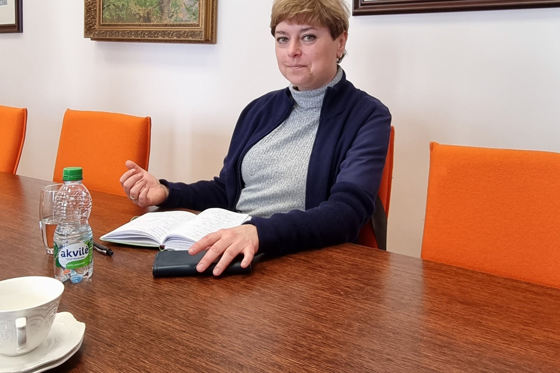 Iliustracija