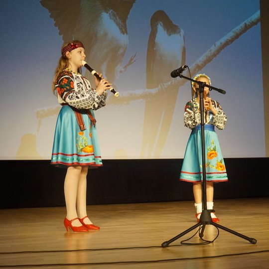 Iliustracija