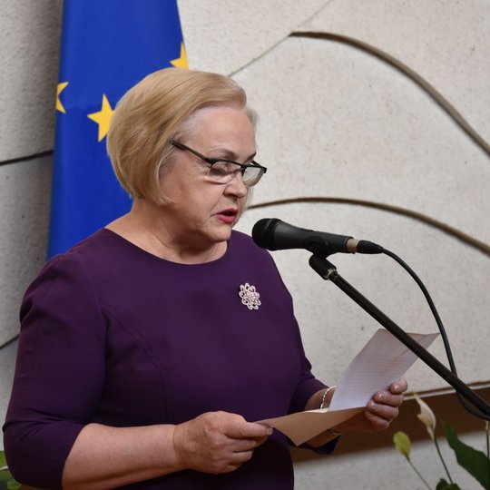 Iliustracija
