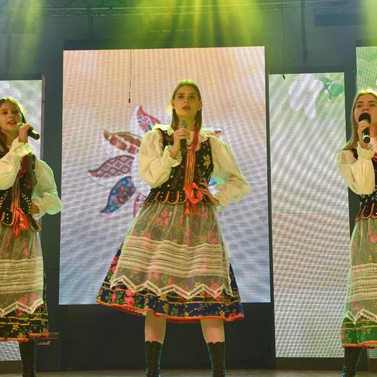 Iliustracija