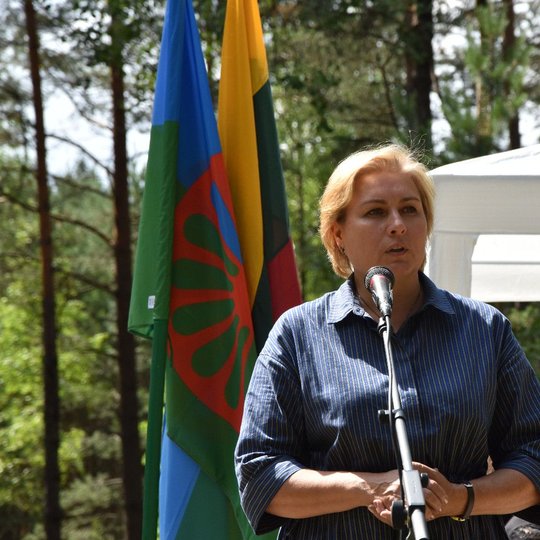 Iliustracija