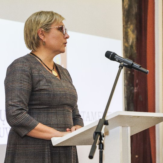 Iliustracija