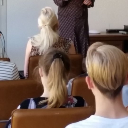 Iliustracija