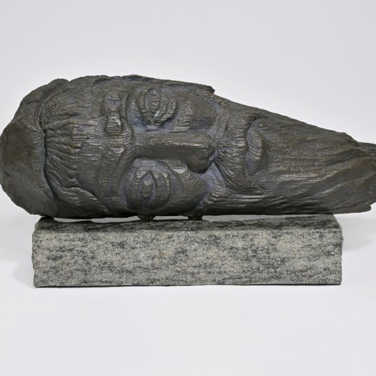 Iliustracija