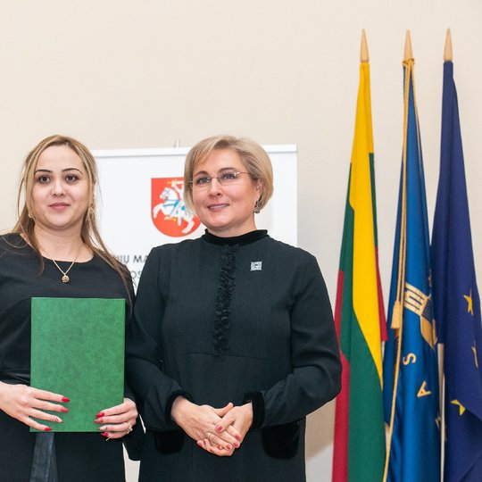 Iliustracija