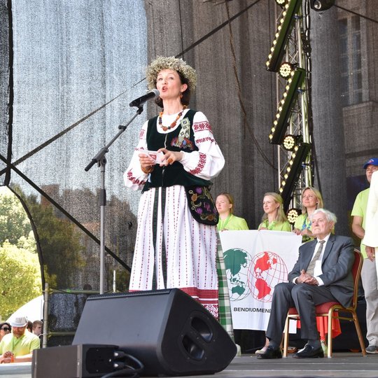 Iliustracija