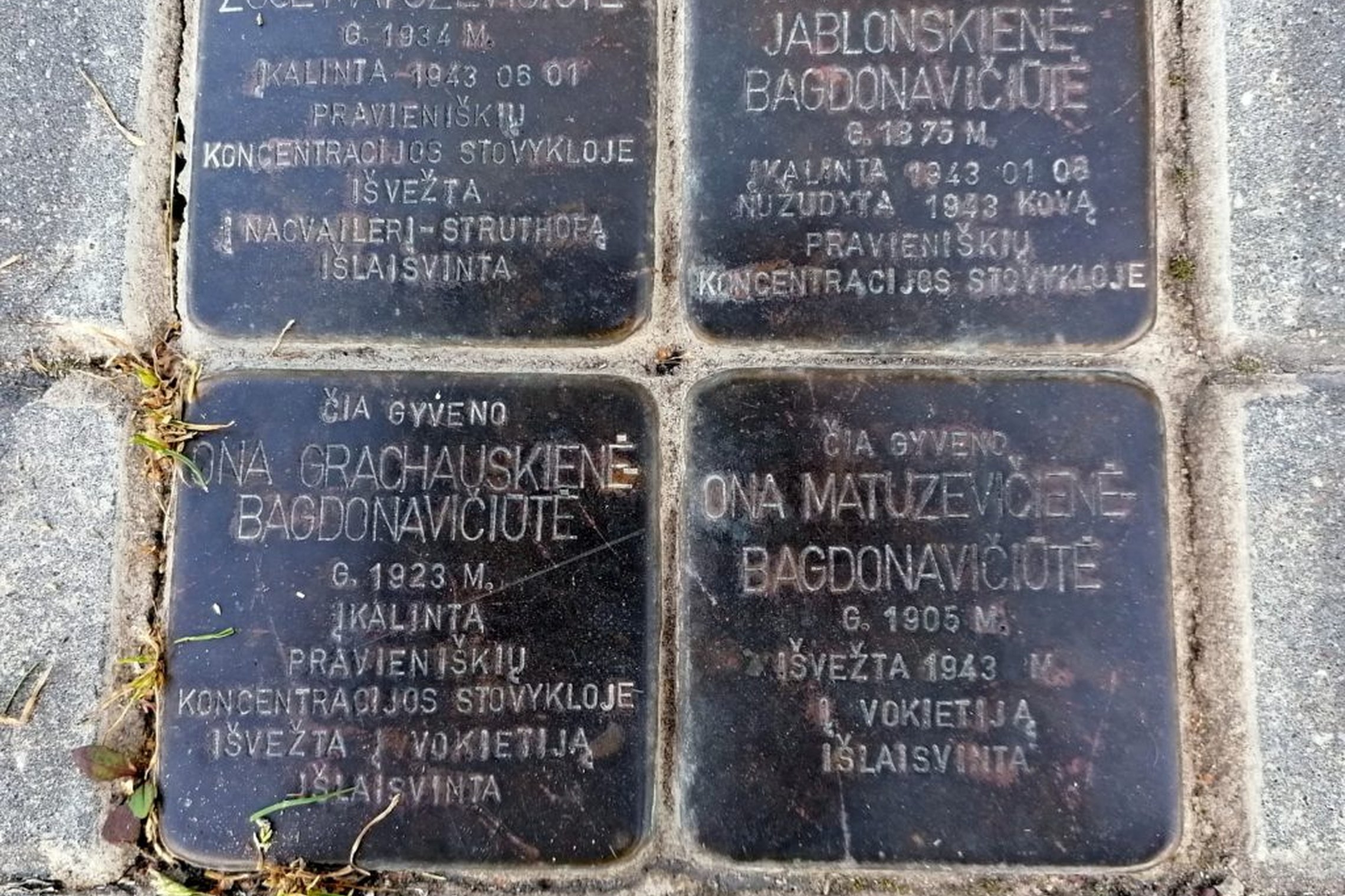 Iliustracija