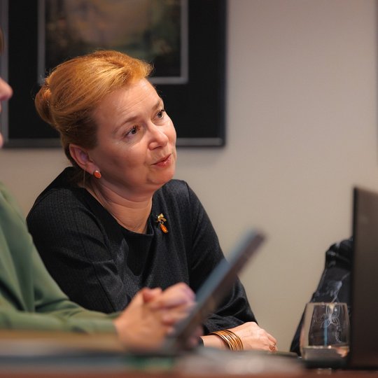 Iliustracija