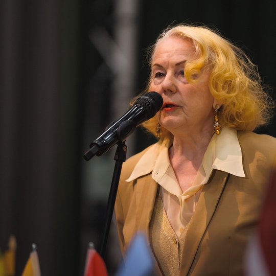 Iliustracija