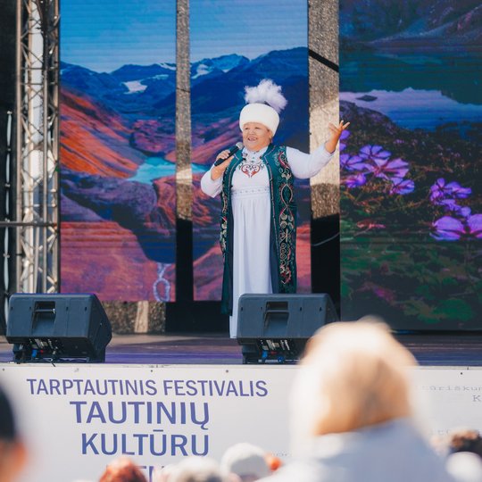 Iliustracija