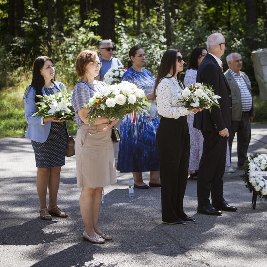 Iliustracija